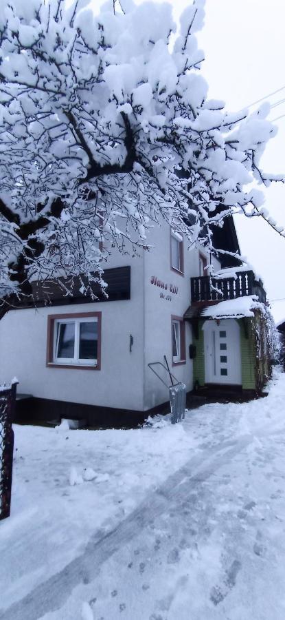 Ferienwohnung Haus Elli Greifenburg Exterior foto